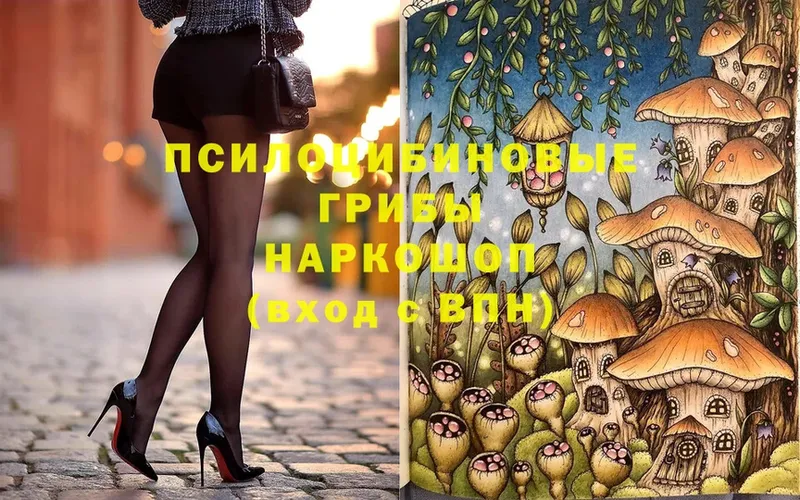 Псилоцибиновые грибы MAGIC MUSHROOMS  сколько стоит  Голицыно 